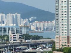 광안리+부경대#반려동물 18번째 이미지