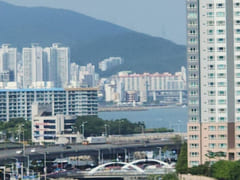 광안리+부경대#반려동물 18번째 이미지