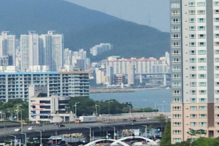 광안리+부경대#반려동물 18번째 이미지