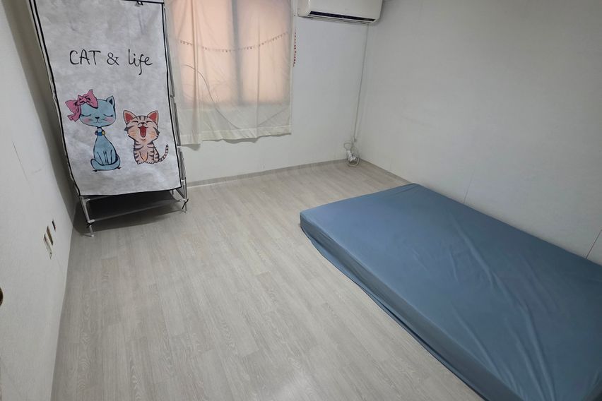 군자역5분 마당있는옥탑 0번째 이미지