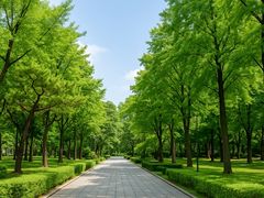 🌿신사/압구정/청담 16번째 이미지