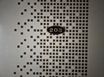Room 203 7번째 이미지