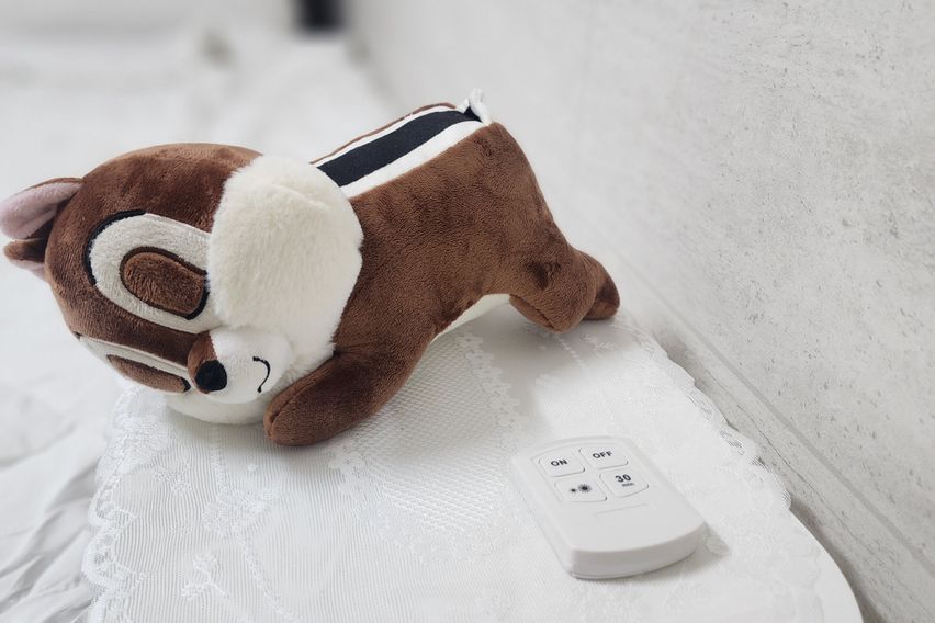 오보기 포항오천출장3룸 19번째 이미지