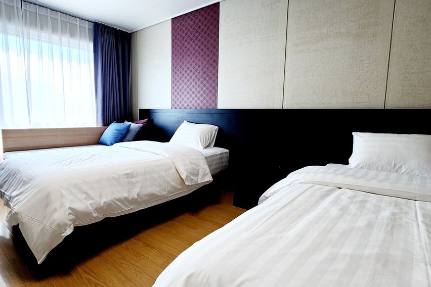 해변코앞 반려견O 한달 0번째 이미지