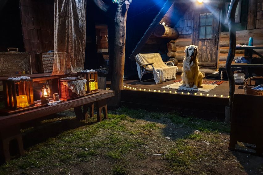 애월소길리나뭇잎사이로