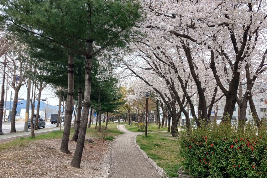 창뷰2/황리단길8분 1번째 이미지