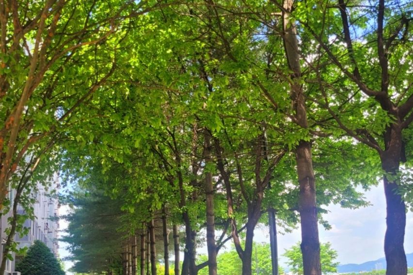 강이 보이는 조용한 곳