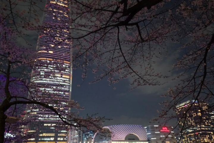 석촌 강남 잠실 대치동 17번째 이미지