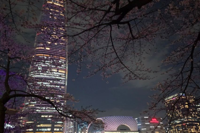 석촌 강남 잠실 대치동 16번째 이미지