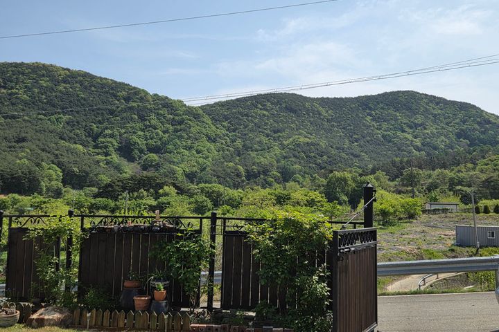 단산하우스 18번째 이미지