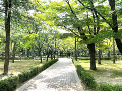 삼성서울병원/대청역2룸 15번째 이미지