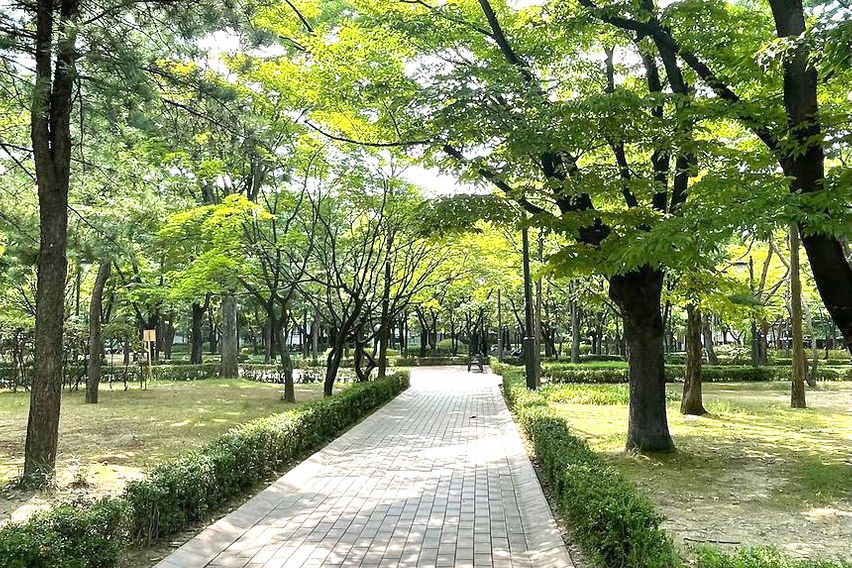 대청역/삼성병원/대치 15번째 이미지