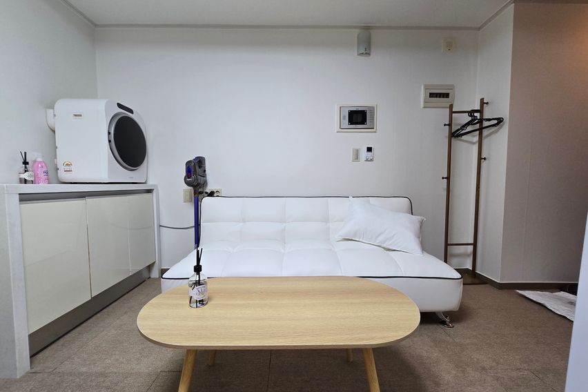 🤎강남역양재역/건조기