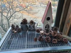sun room 11th image