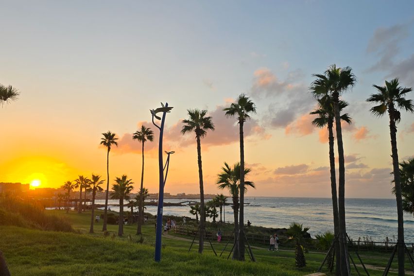 함덕해수욕장도보5분신축