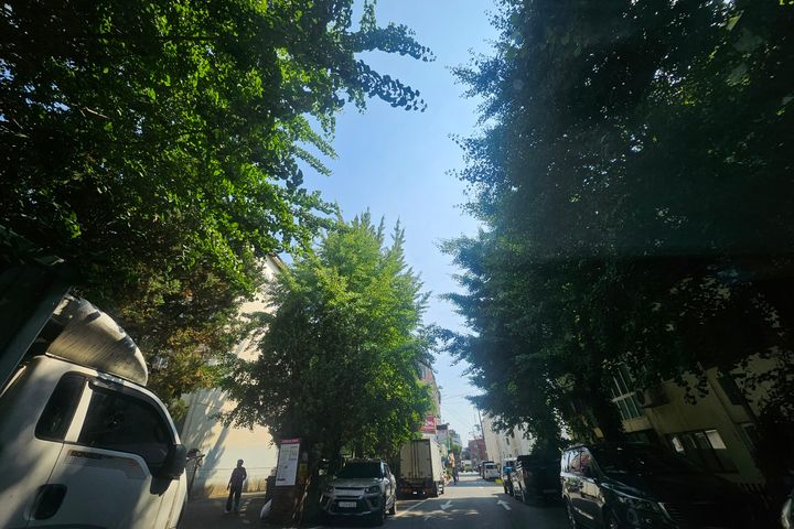 Bright, south-facing 3-room unit in Ilsan-don 7th image