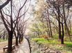 🌳서울숲30초 성수동 19번째 이미지