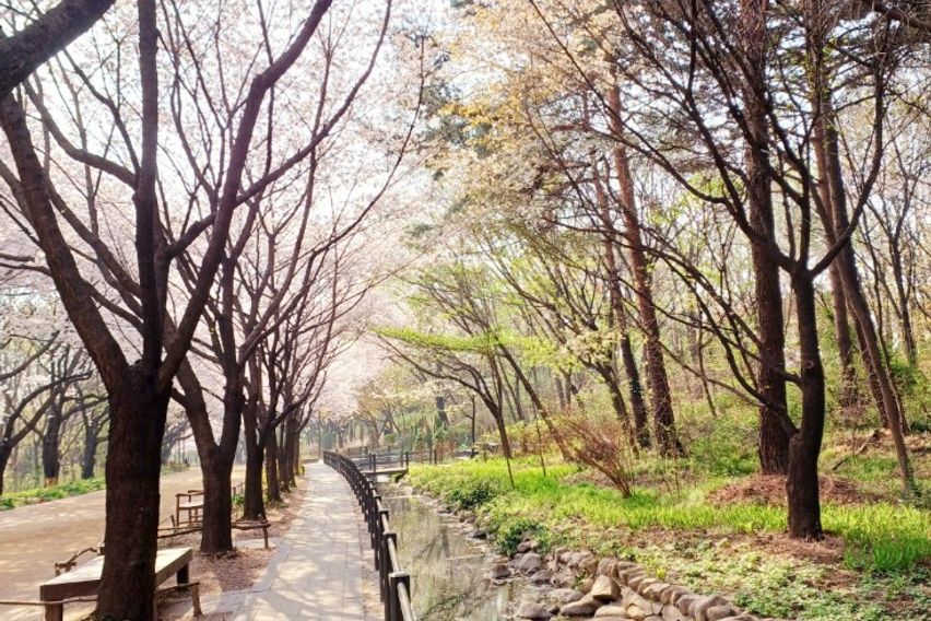 🌳서울숲30초 성수동 19번째 이미지