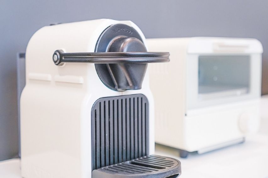 미금/정자🐕댕냥이OK