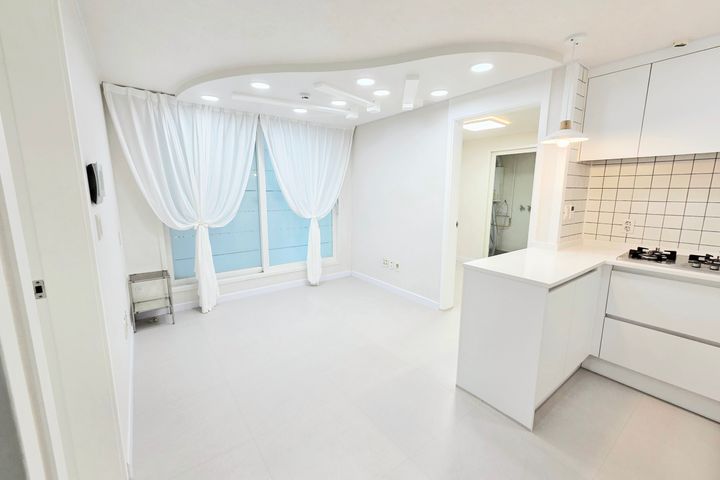 Doksan-dong Two-Room White House 0th image