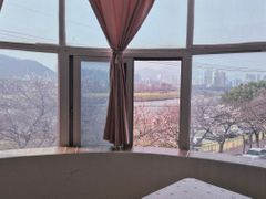 태화강국가정원 담긴집♧ 1번째 이미지