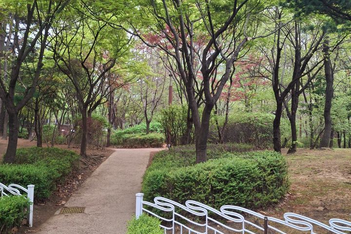 산바다둘러쌓인오션포레1 11번째 이미지