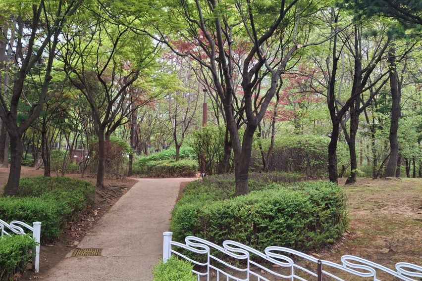 산바다둘러쌓인오션포레1 11번째 이미지