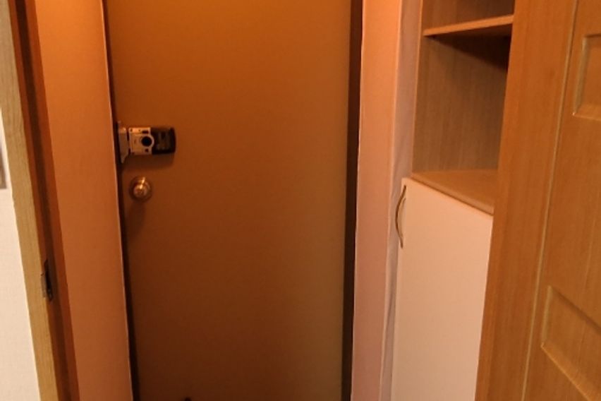 🌳계대룸룸🌸