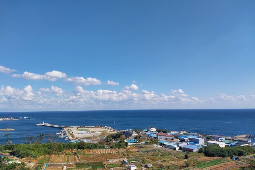 구룡포 바다전망 아파트