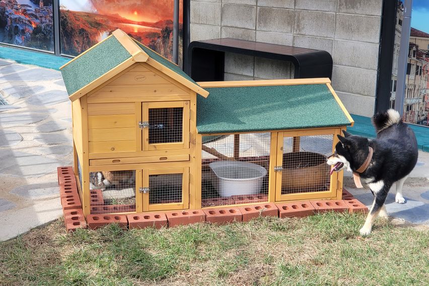 양평 독채 수영장풀빌라