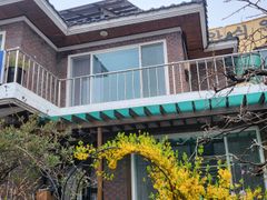 스테이시골애 1번째 이미지