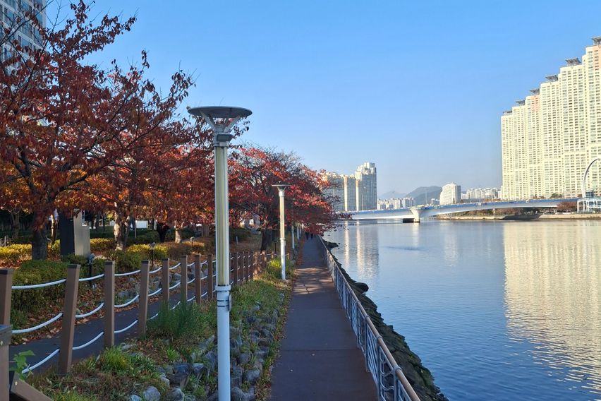 광안리센텀지역🏖