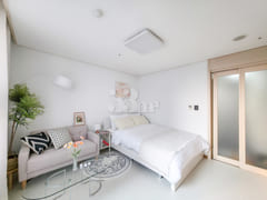 ✨️Sun-drenched view from the large window🌿 5th image