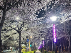 삼성서울병원/대청역2룸 19번째 이미지