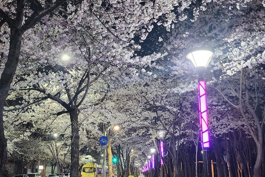 대청역/삼성병원/대치 19번째 이미지