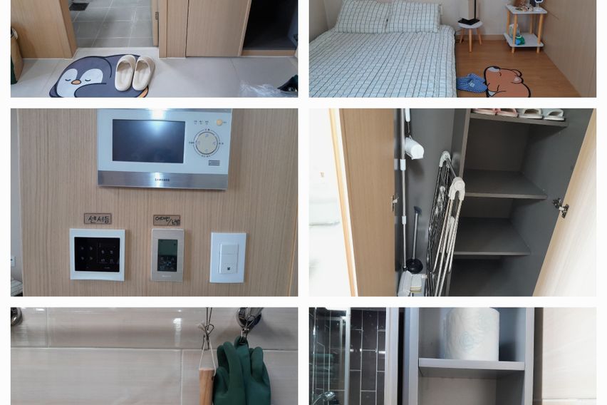 세종시 세종출장 호수옆