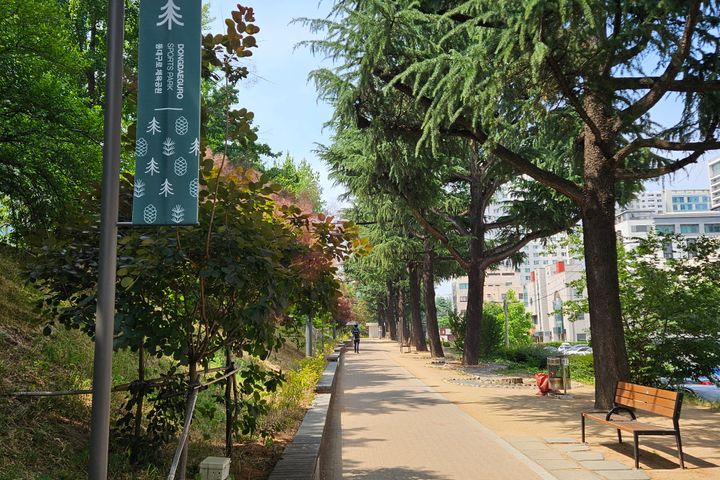 🌈 동대구 유성 B 🌈 4번째 이미지