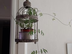❤ 암사역3분.한강공원 19번째 이미지