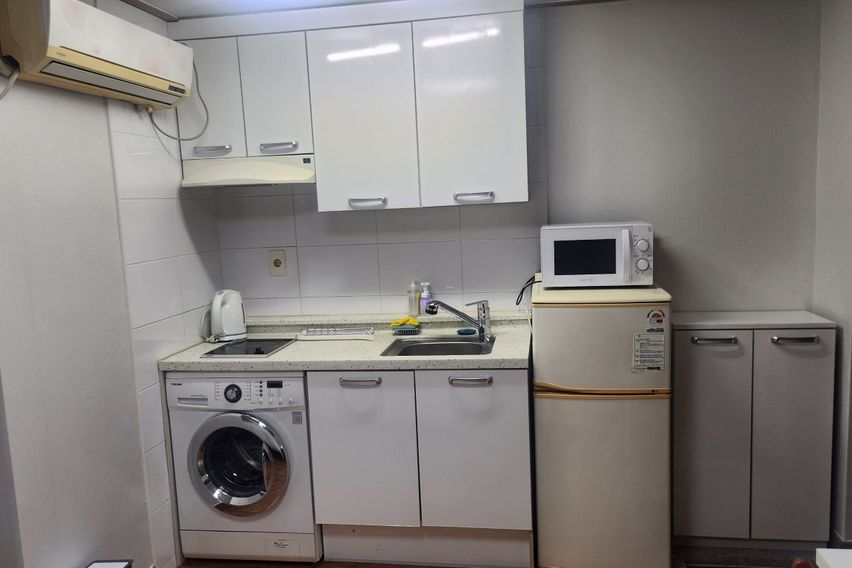 부산갈매기 501 특가