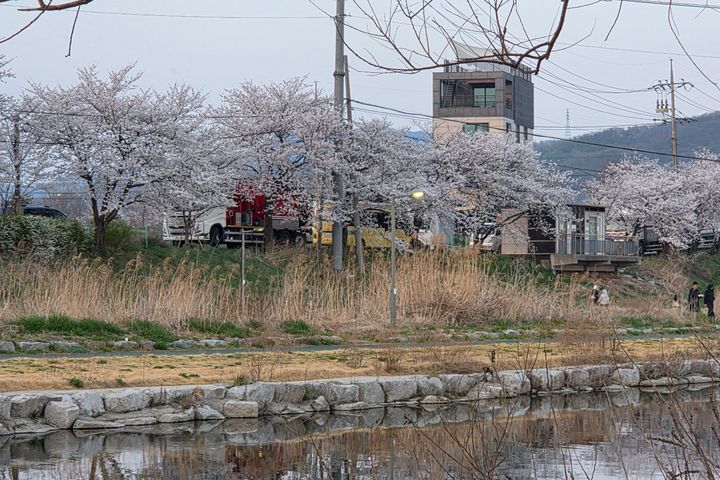 에버랜드 근처 경안천옆 17번째 이미지