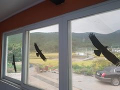 힐링하기 좋은 단독주택 2번째 이미지