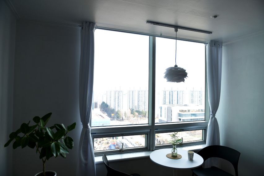 둔산의 중심 히스토리3