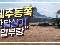 ●성산 바닷가숙소B 1번째 이미지