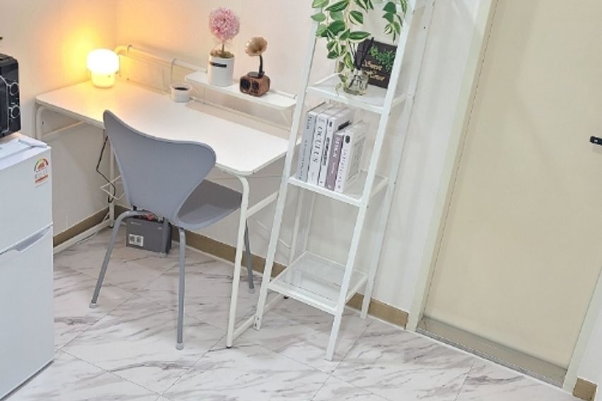 227스테이-스탠다드