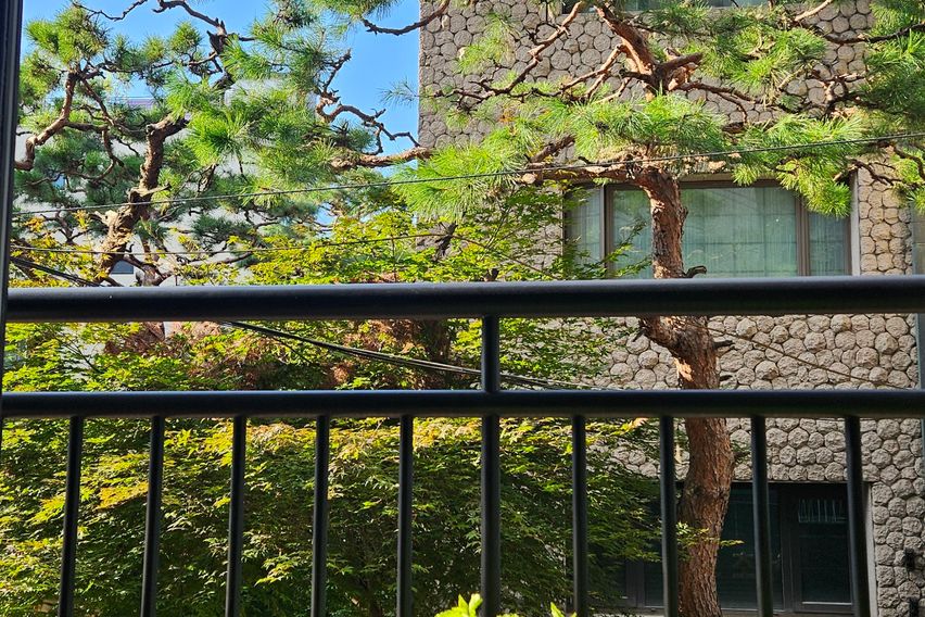 서초동 교대 근처