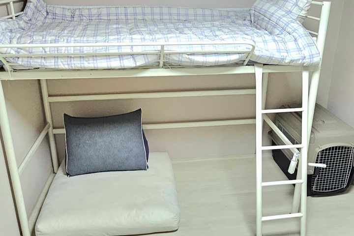 힐링 산림욕 바다 둘이 12번째 이미지