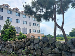 Seogwipo Tangerine Farm Accommodation 1.5 Roo 1th image