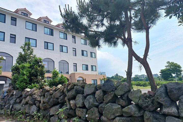 Seogwipo Tangerine Farm Accommodation 1.5 Roo 1th image
