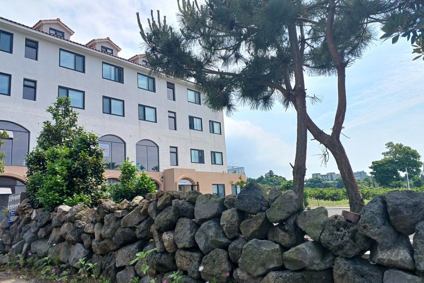 서귀포감귤밭숙소1.5룸