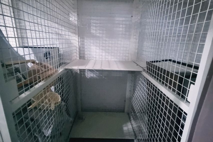 2층 같은 비밀의 지층 7번째 이미지